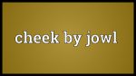 第207期：cheek by jowl