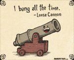 第293期：loose cannon