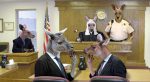 第501期：kangaroo court 袋鼠法庭